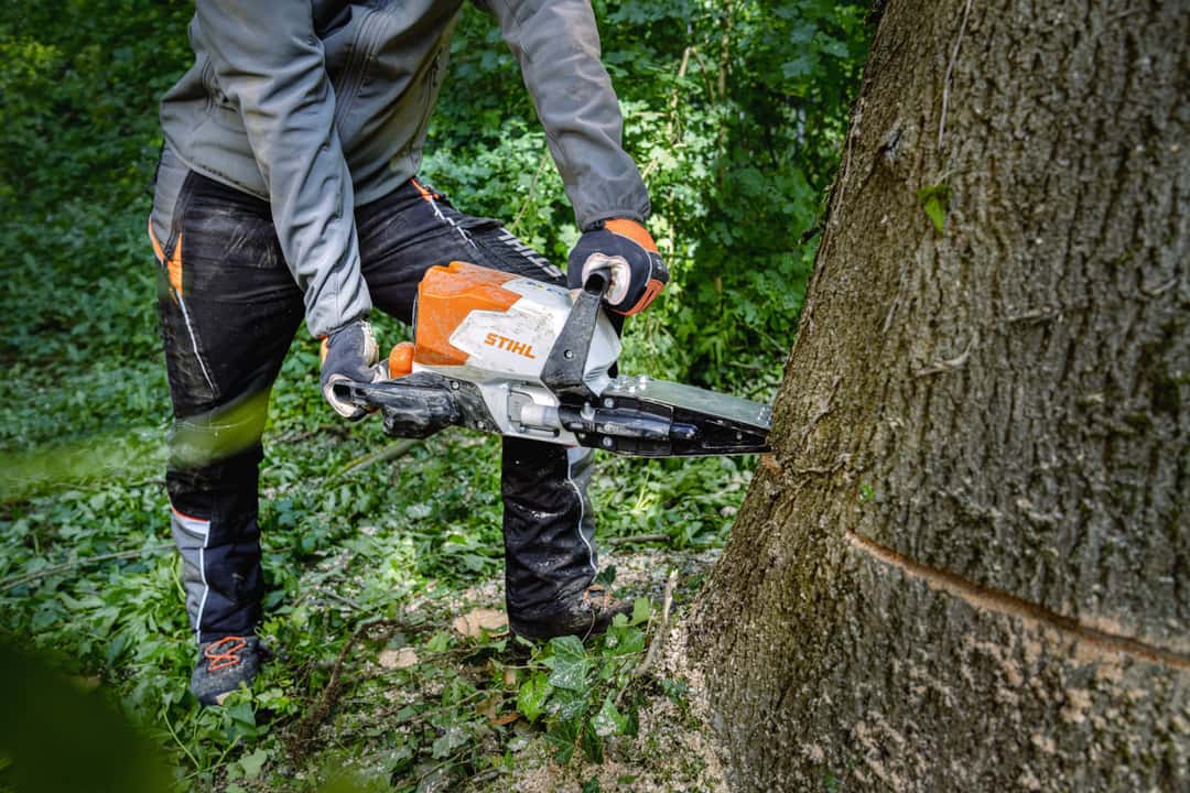 Neu: Bäume aus der Entfernung fällen mit dem Akku-Fällkeil Stihl FKA 160