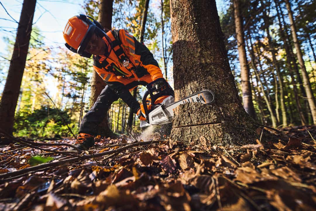 Stihl stellt seine neue Akku-Motorsäge MSA 260 C-O vor Stihl stellt seine neue Akku-Motorsäge MSA 260 C-O vor