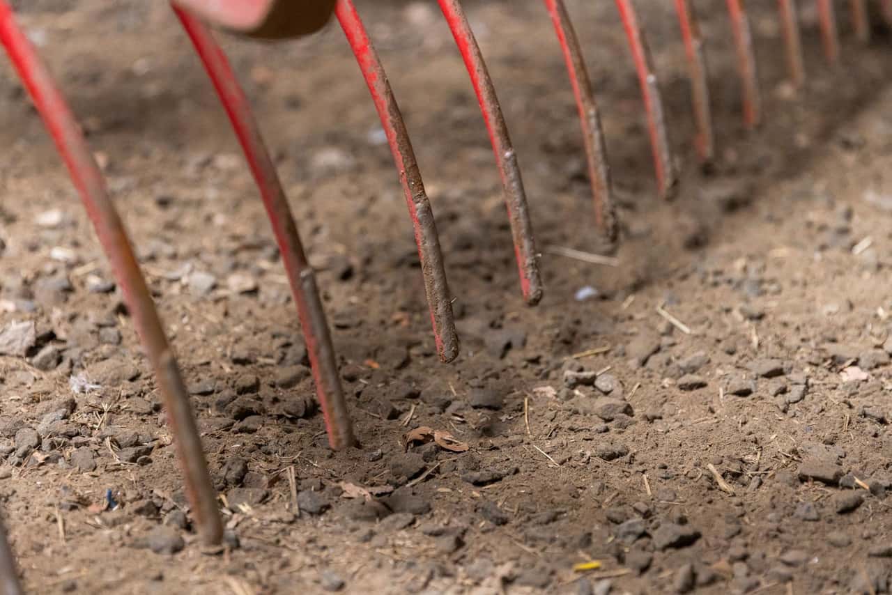 Väderstad präsentiert Striegel mit mehr Standzeit