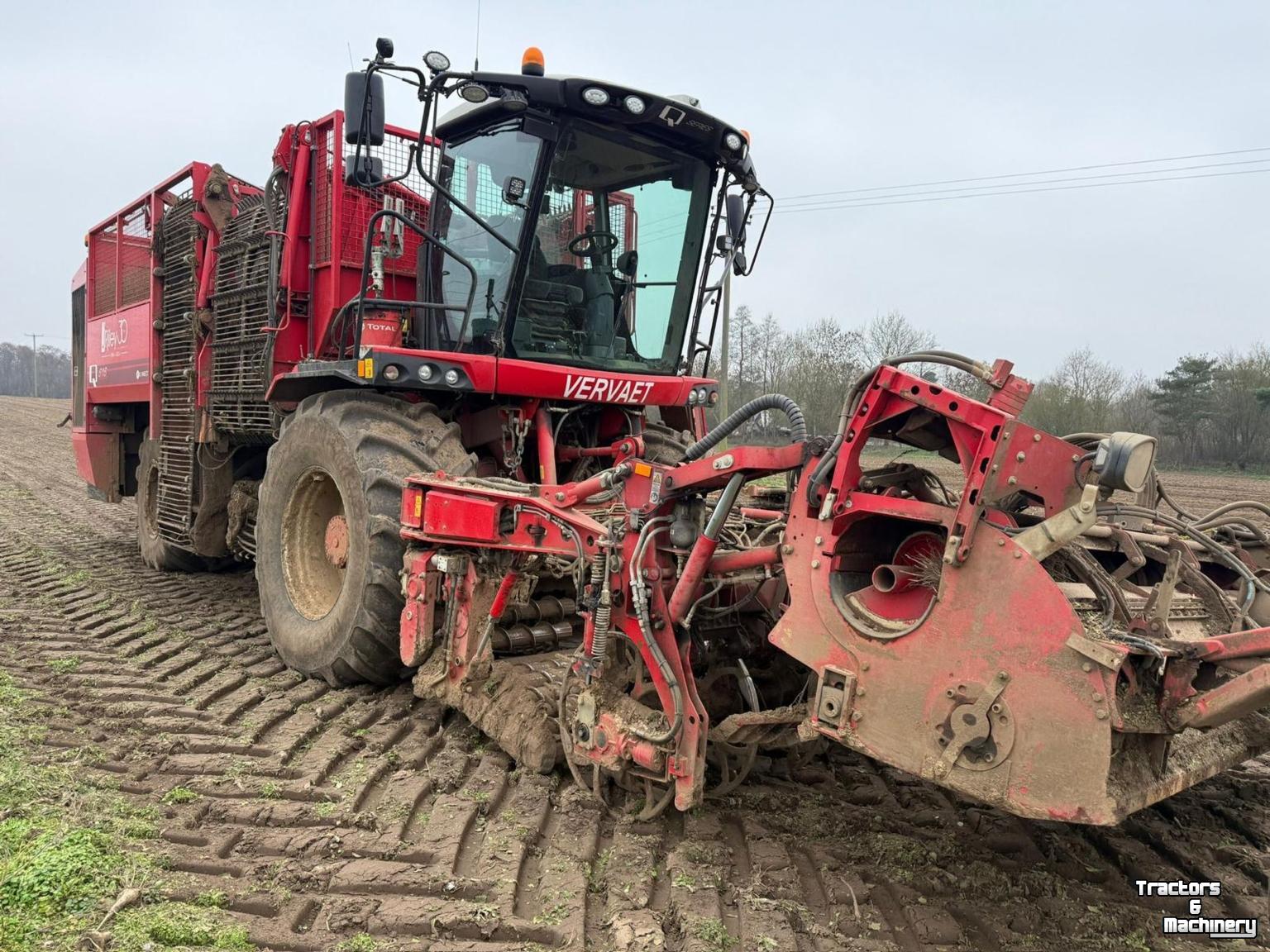 Rübenroder Vervaet Q616 Rollerbed
