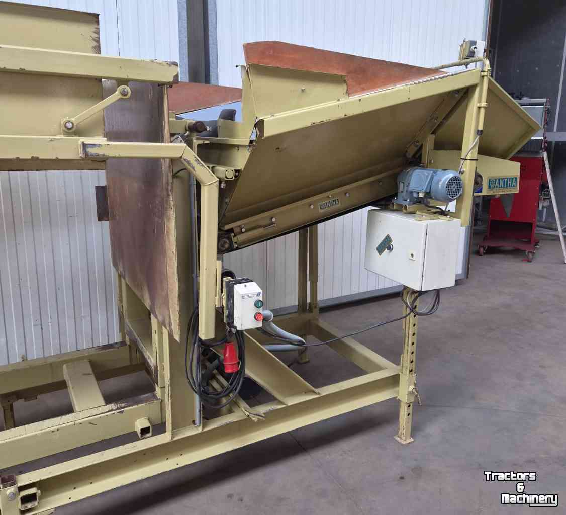 Grosskistenkantler Antha Antha Kantelaar-Bunker