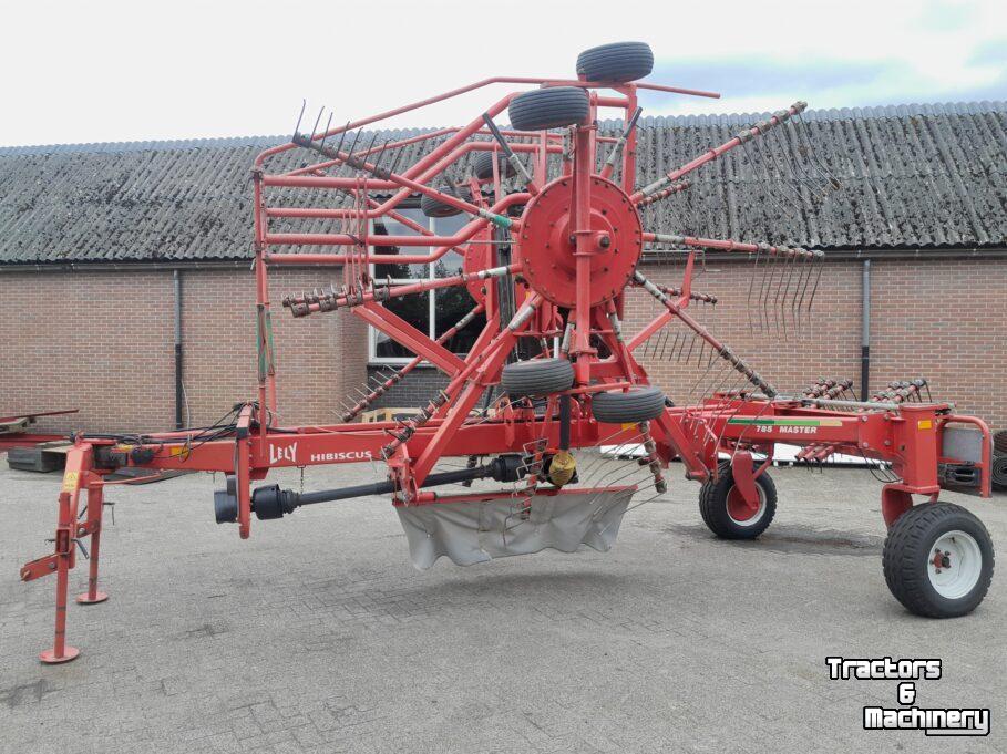 Schwader Lely Hibiscus 785 Master