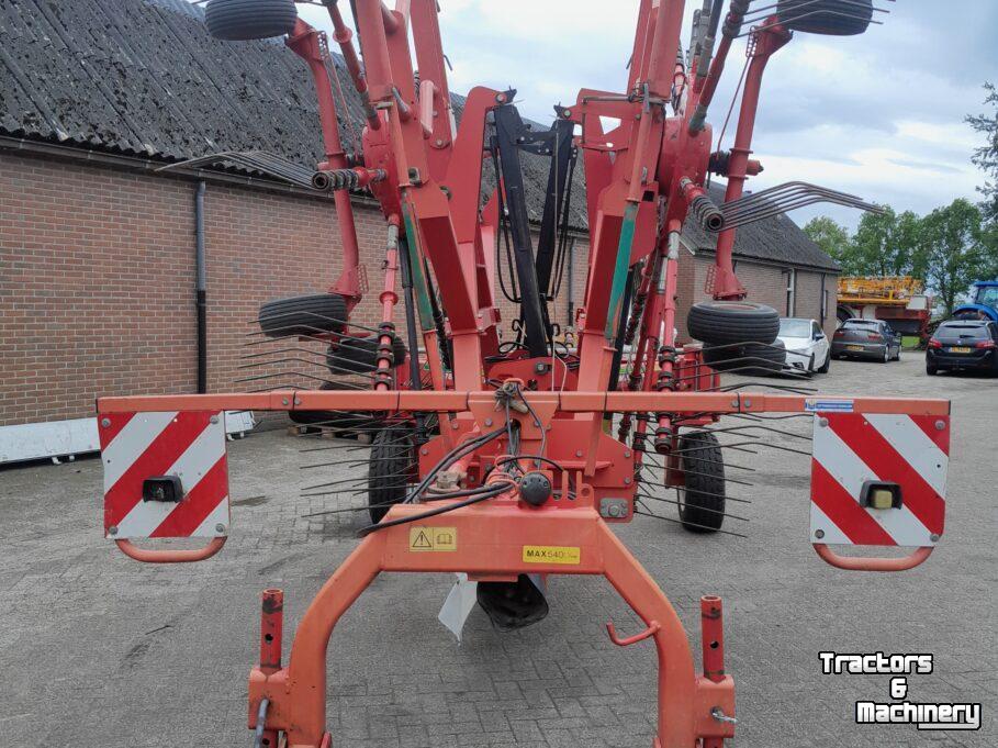 Schwader Lely Hibiscus 785 Master