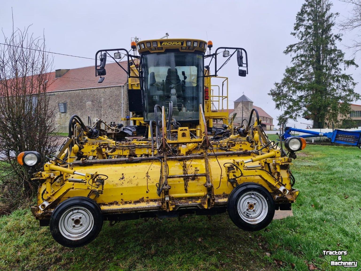 Rübenroder Vervaet Ropa Tiger V8-3