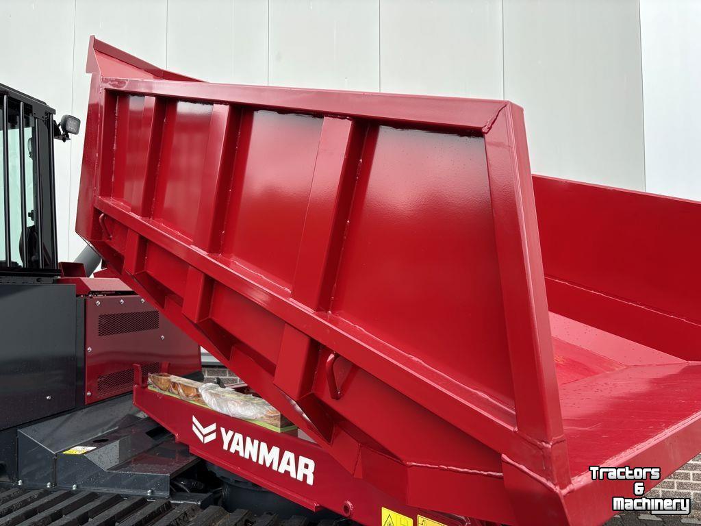 Raupe Muldenkipper Yanmar C50R-TV