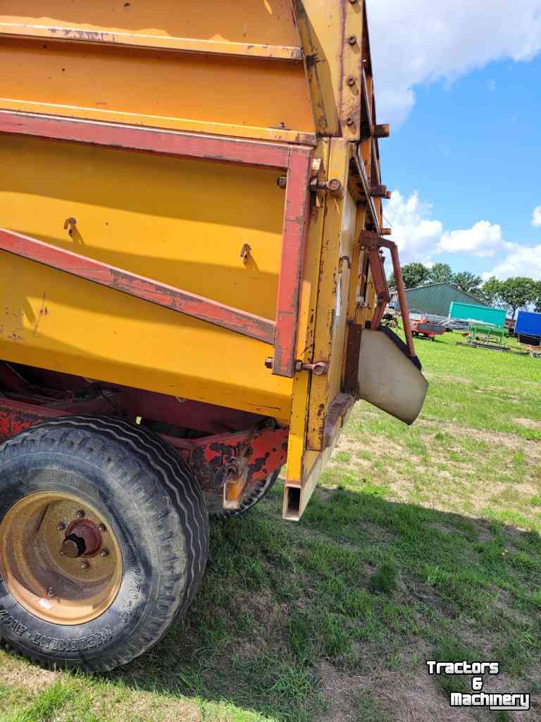 Kipper Miedema Kipper Hst 80