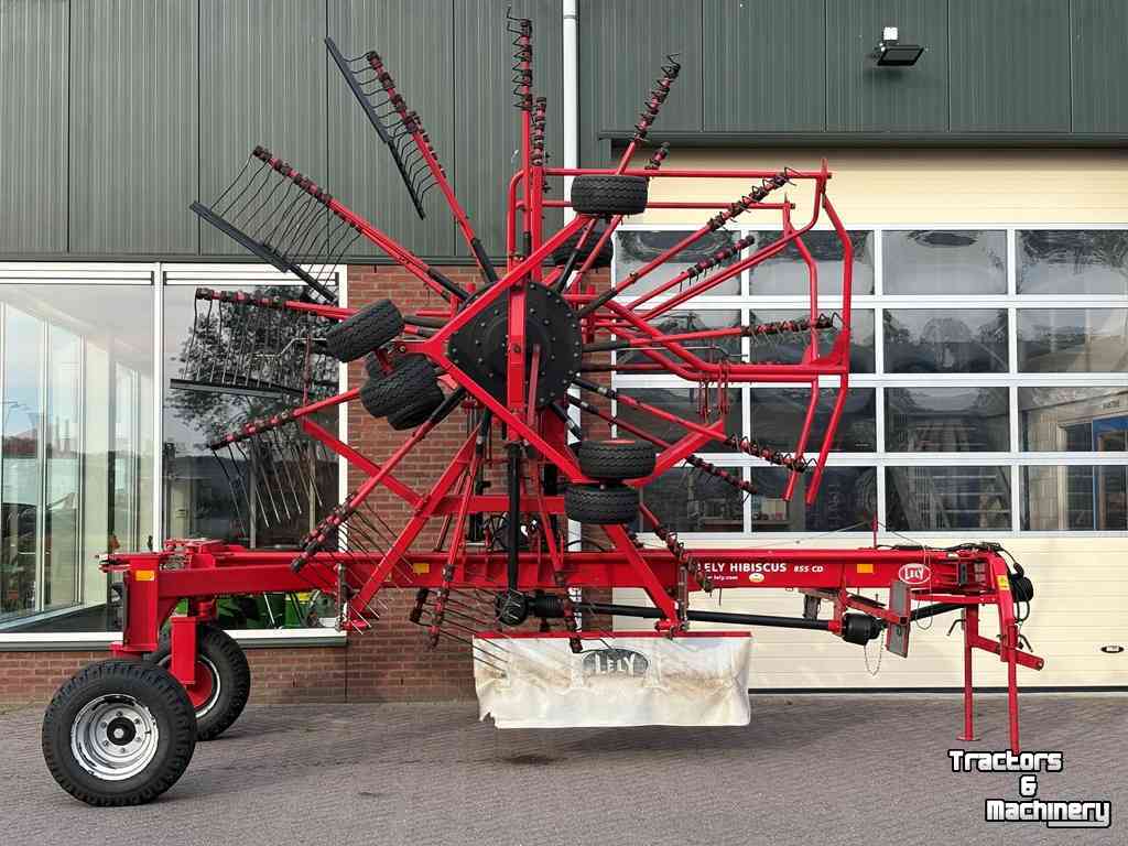 Schwader Lely Hibiscus 855