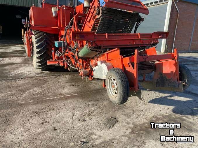 Zwiebelroder Riecam SAMON UIENROOIER