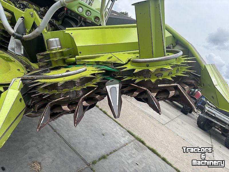 Maisgebiss Claas Claas - ORBIS 600 SD