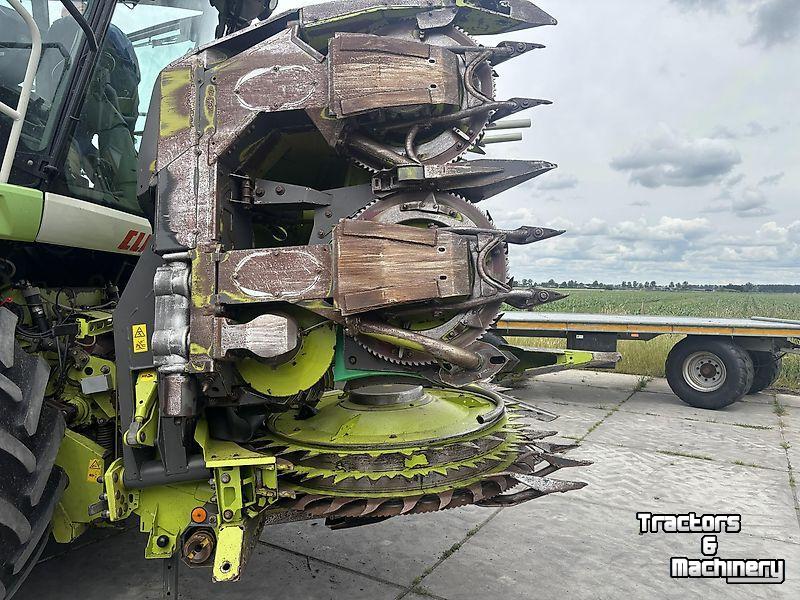 Maisgebiss Claas Claas - ORBIS 600 SD