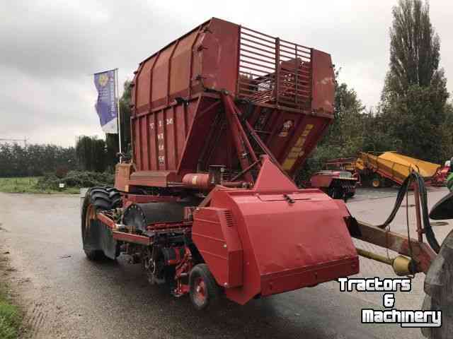 Rübenroder Tim MIIIS-TEA 3 rijige Bietenrooier / Sugar Beet Harvester / Rübenroder