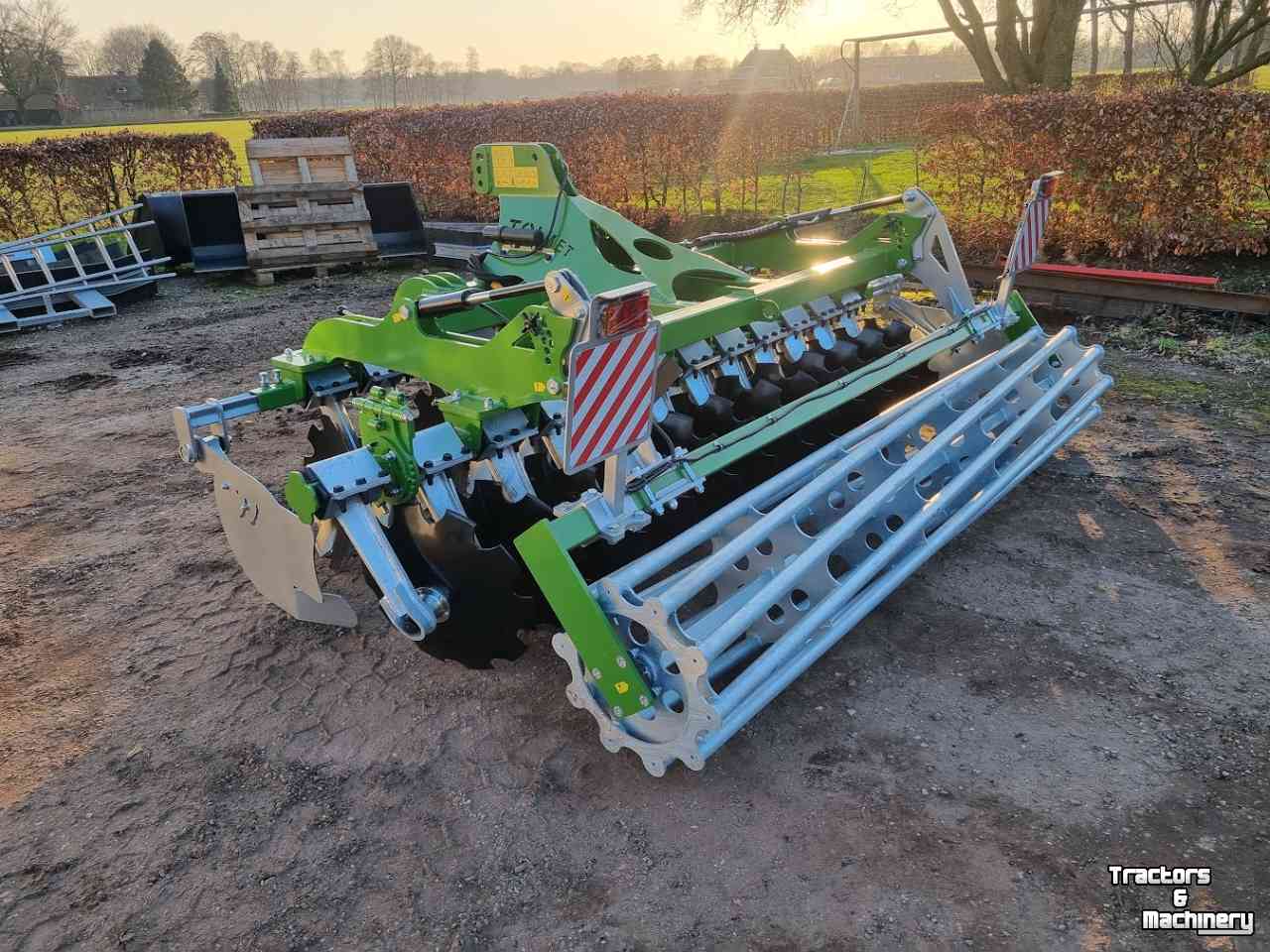 Scheibenegge Tolmet schijveneg Astat