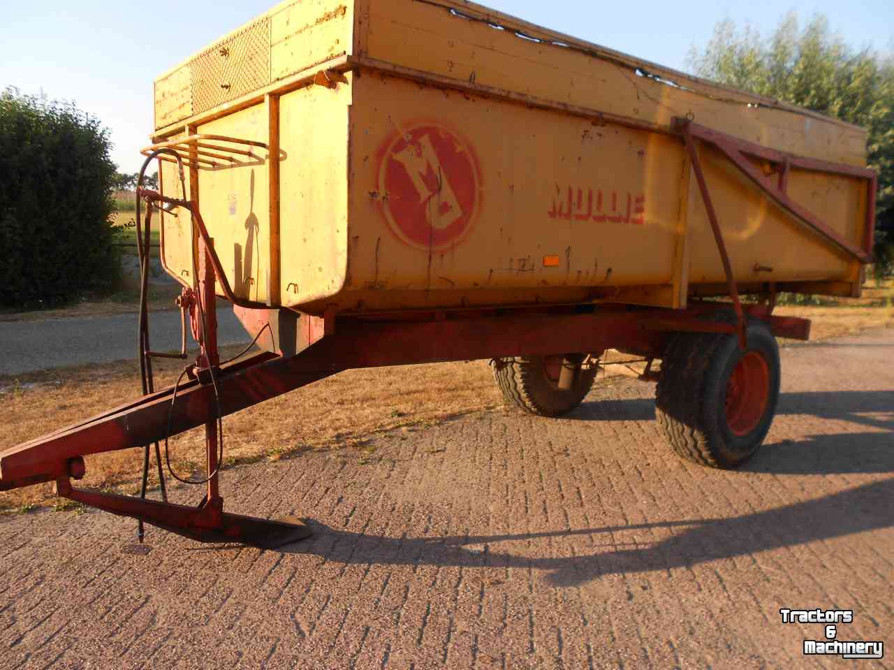 Kipper Mullie e 7