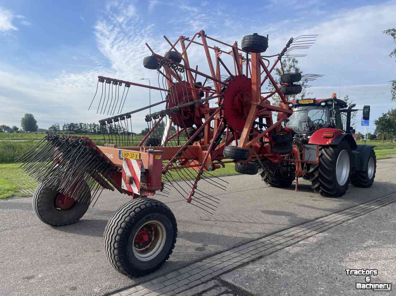 Schwader Lely Hibiscus 1015 profi