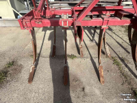 Grubber Wifo KS 250 cultivator met kooirol