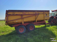 Kipper Miedema Kipper Hst 100