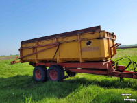Kipper Miedema Kipper Hst 100