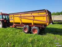 Kipper Miedema Kipper Hst 100