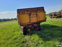 Kipper Miedema Kipper Hst 100