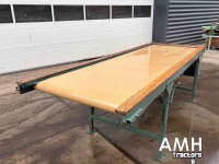 Verleseeinheit  3100X1000 Leesband, Inspection conveyor, Verleseband