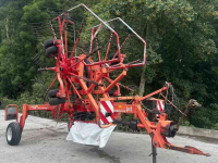 Schwader Lely Hibiscus 725 dubbele hark