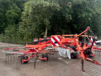 Schwader Lely Hibiscus 725 dubbele hark