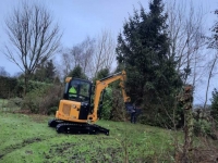 Holzgreifers MDE Koala 200 bomenknipper