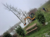 Holzgreifers MDE Koala 200 bomenknipper