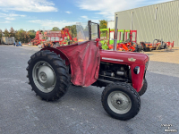 Schlepper / Traktor Massey Ferguson 35