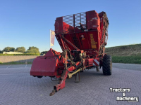 Rübenroder Tim MIIIS- TEA Bietenrooier 3 rijen