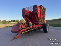 Rübenroder Tim MIIIS- TEA Bietenrooier 3 rijen