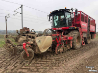 Rübenroder Vervaet Q616 Rollerbed Bietenrooier