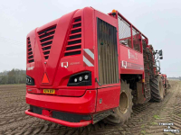 Rübenroder Vervaet Q616 Rollerbed Bietenrooier