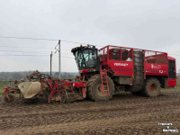 Rübenroder Vervaet Q616 Rollerbed Bietenrooier