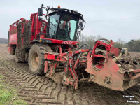Rübenroder Vervaet Q616 Rollerbed Bietenrooier