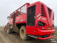 Rübenroder Vervaet Q616 Rollerbed Bietenrooier