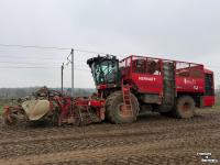 Rübenroder Vervaet Q616 Rollerbed