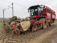 Rübenroder Vervaet Q616 Rollerbed