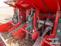 Kartoffellegemaschine Grimme Grimme GL 420 Exacta Pootmachine 4-Rijen