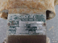 Graben Pumpe Caprari NEC D1/65