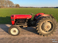 Oldtimers Massey Ferguson 35 Diesel