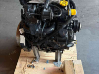 Motor FPT Boomer 46d 54d