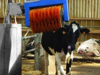 Kuhbürsten Bou-Matic Cow brush / koe borstel