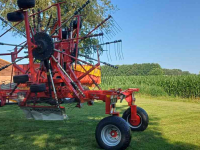 Schwader Lely Hibiscus Master 855