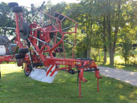 Schwader Lely Hibiscus Master 855