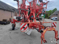 Schwader Lely Hibiscus 785 Master