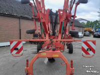 Schwader Lely Hibiscus 785 Master
