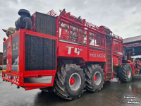 Rübenroder Holmer Terra Dos T4-40