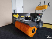 Kehrmaschine Stiga SWS 800 G