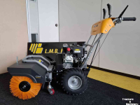 Kehrmaschine Stiga SWS 800 G